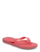 Hav Brazil Logo  Havaianas