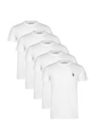 Bertil Reg Sj 5 Pk Uspa M Tee White U.S. Polo Assn.