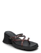 Jaslene Brown Sandal Black MIISTA