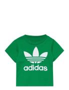Trefoil Tee Green Adidas Originals