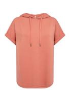 Sc-Banu Pink Soyaconcept