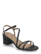 Emberlyn_San50_Vc Black BOSS