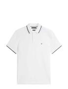 Cotton Linen Pique Reg Polo White Tommy Hilfiger