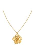 Daisy Necklace Gold By Jolima