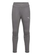 Evostripe Pants Dk B Grey PUMA