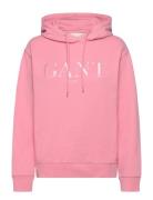 Tonal Graphic Hoodie Pink GANT