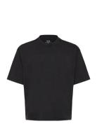 Hco. Guys Knits Black Hollister