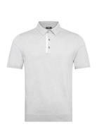 Finch Grey Reiss