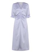 Ammy Blue Baum Und Pferdgarten