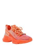 Mistica Sneaker  Steve Madden