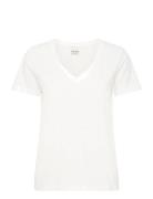 Ihpalmoni Ss White ICHI