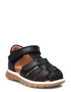 Bisgaard Angus Black Bisgaard