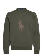 30/1 Double Knt Cvc-Lsl-Sws Green Polo Ralph Lauren