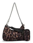 Bvital Brown Steve Madden