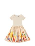 Cissa Cream Molo