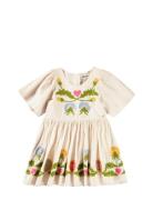 Carlin Cream Molo