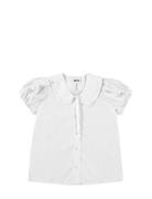 Rosabella White Molo