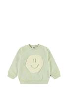 Disc Green Molo