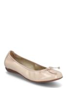 Bo Beige Wonders