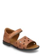 Sandals - Flat - Open Toe - Op Brown ANGULUS