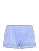Short Velours Scallop Lace Blue Hunkemöller
