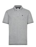 Polo Grey Champion
