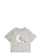 Seagull Sp Ss Tee Grey Mini Rodini