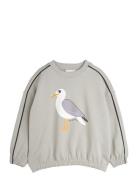Seagull Sp Sweatshirt Grey Mini Rodini