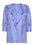 Ipiera Blue BOSS