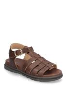 Bisgaard Bera Brown Bisgaard