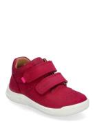 Whaley Red Superfit