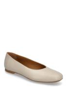 Ballerina Cream ANGULUS