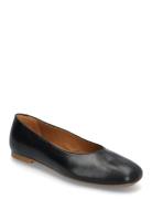 Ballerina Black ANGULUS