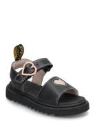 Marlowe Hearts J Black+Powder Pink T Lamper+Nebula Glitter Black Dr. M...