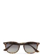 0Rb4259 Brown Ray-Ban