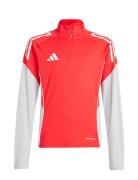 Tiro25C Tr Topy Red Adidas Performance