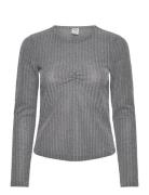 Jackai Grey Baum Und Pferdgarten