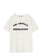 Big Rooster Kid T-Shirt White Logo 8Y White THE ANIMALS OBSERVATORY