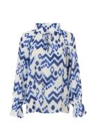 Cassisadea Ev Blue Dea Kudibal