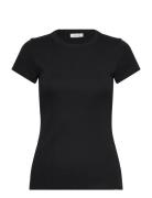Fallon Black Andiata