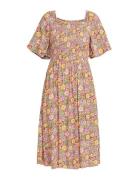 Tropical Sunshine Brown Roxy