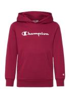 Hooded Sweatshirt Burgundy Champion