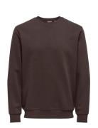 Onsceres Crew Neck Noos Brown ONLY & SONS