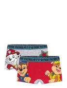 Boxer Patterned Paw Patrol