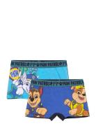 Boxer Blue Paw Patrol