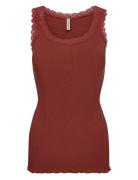 Sc-Sarona Red Soyaconcept