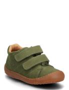 Bisgaard Hale V Green Bisgaard