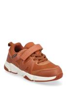 Bonnie Jr Brown Exani