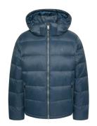 Ls Nylon Zip Off Hood Down Puffe Navy Calvin Klein Jeans