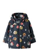 Nmmmax Pawpatrol Jacket Cplg Navy Name It